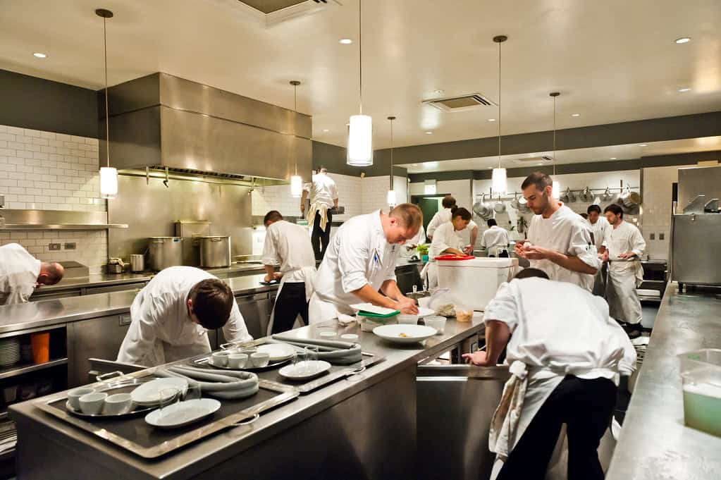 busy commercial kitchen environment