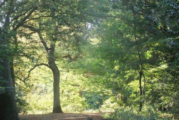 The importance of fresh air